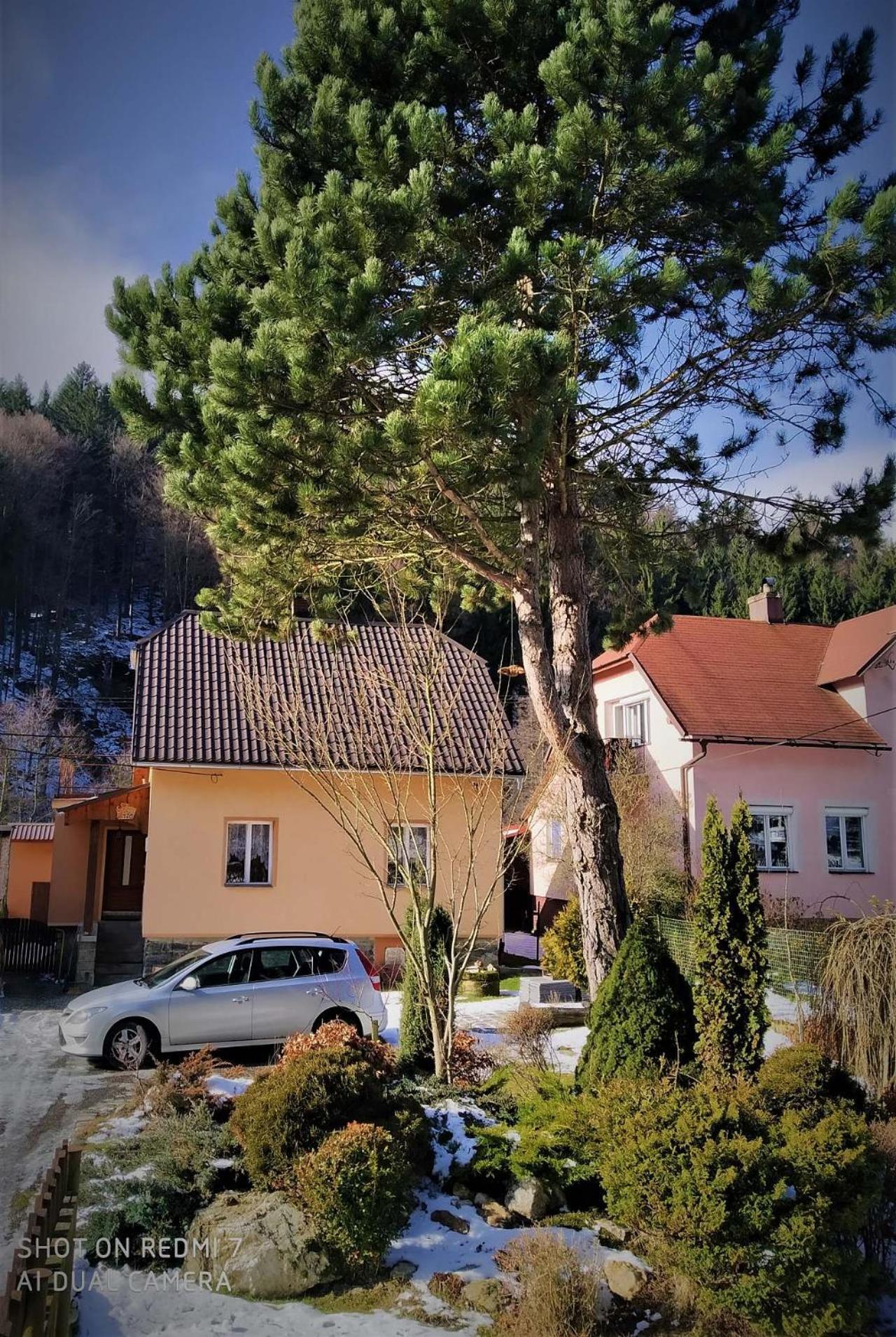 Chata u hajného Jindrichov Exterior foto